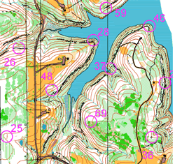 Score orienteering course