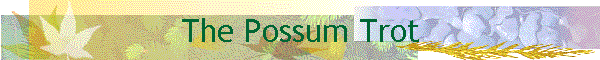 The Possum Trot